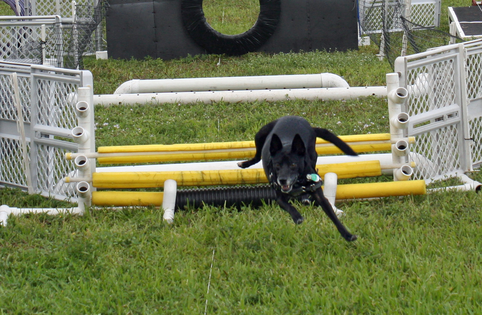 BELLA JUMP 2A Full speed ahead!