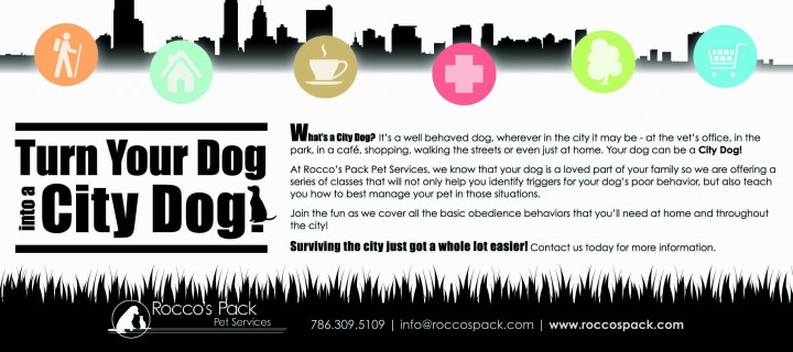 Puppy Classes at Haulover Park
