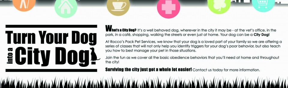 Puppy Classes at Rocco’s Pack Pet Services