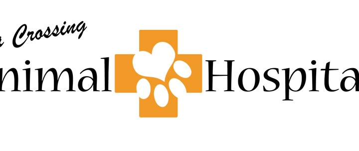 Puppy Obedience at Calusa Crossing Animal Hospital