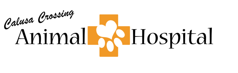 Puppy Obedience at Calusa Crossing Animal Hospital