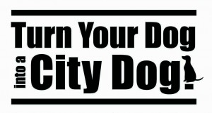 City Dog! Group Classes