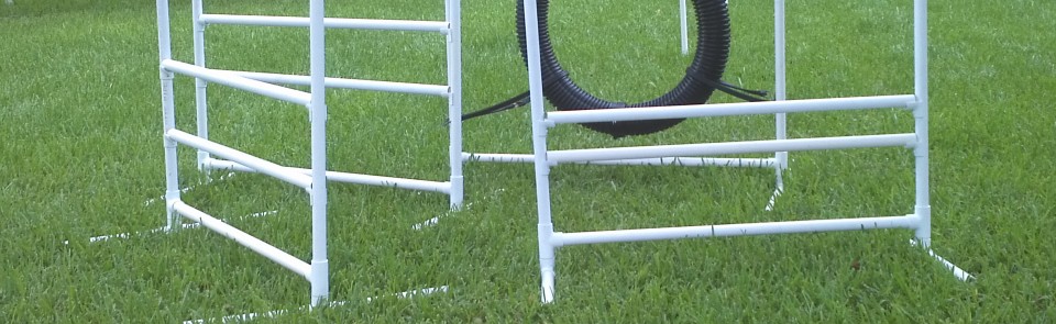 Intro to Dog Agility: Over and Through