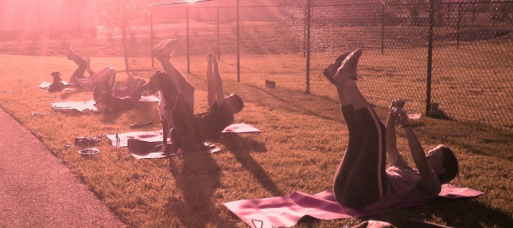 City Dog! Dog Fitness Classes!