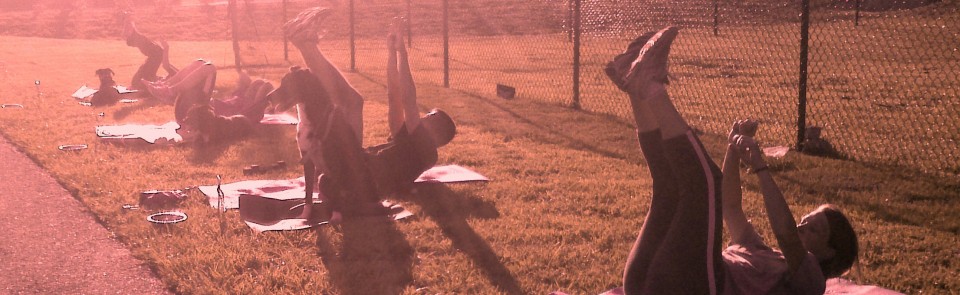 City Dog! Dog Fitness Classes!